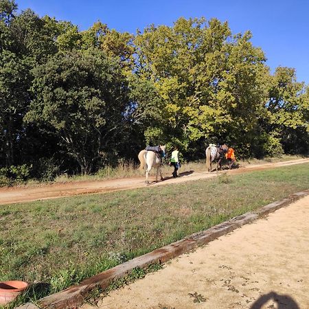 Domaine De La Blaque - B&B Varages المظهر الخارجي الصورة
