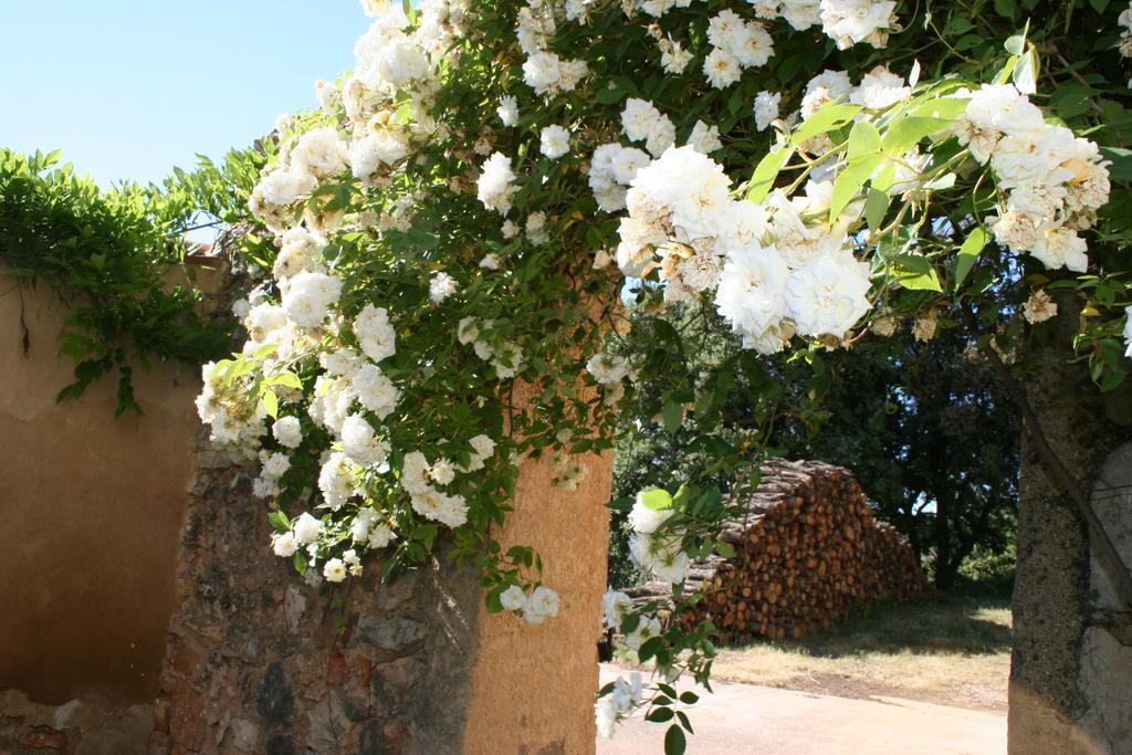 Domaine De La Blaque - B&B Varages المظهر الخارجي الصورة