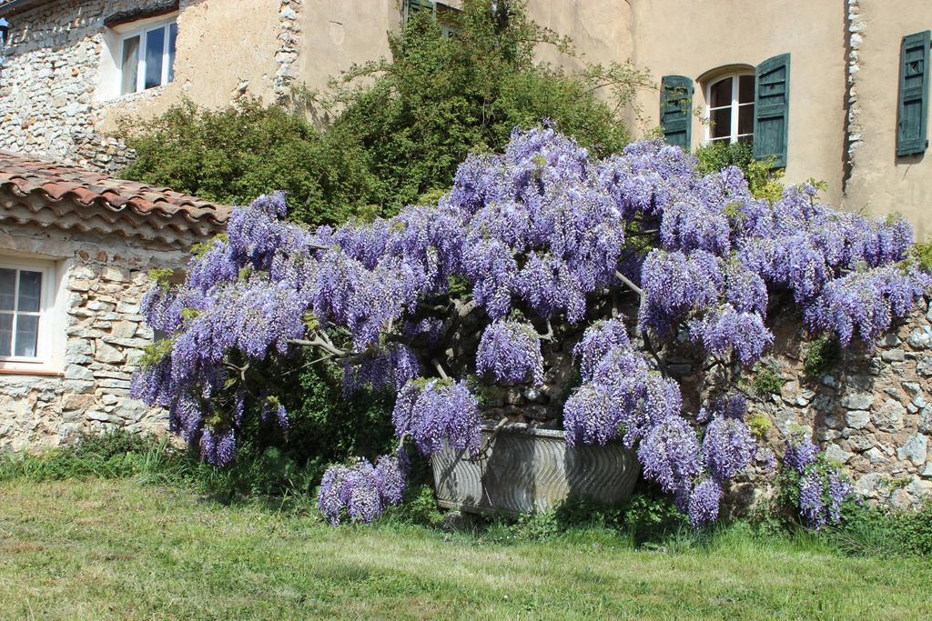 Domaine De La Blaque - B&B Varages المظهر الخارجي الصورة